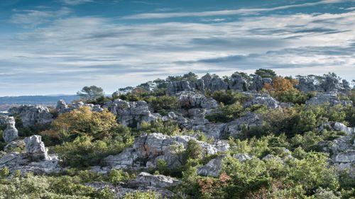 Gard : la mer des rochers, un site féerique sur les hauteurs de Sauve